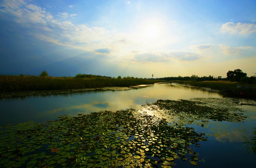 点击大图看下一张：江苏苏州太湖湿地风景图片
