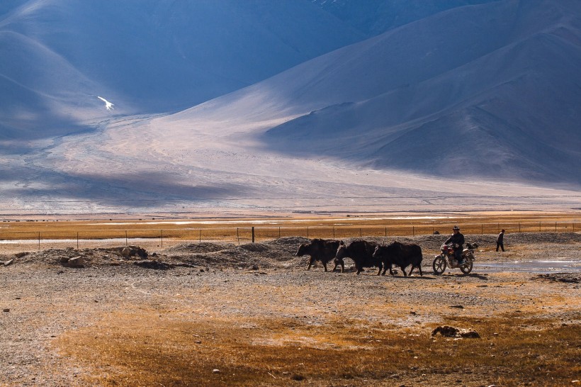点击大图看下一张：新疆塔什库尔干风景图片