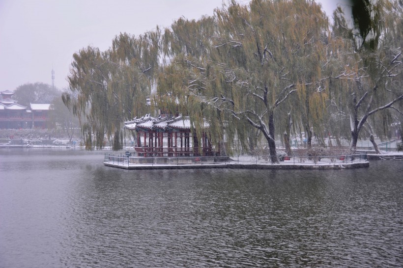 点击大图看下一张：雪中陶然亭公园图片
