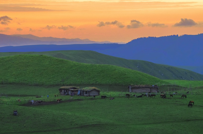 点击大图看下一张：新疆特克斯草原秀丽风景图片