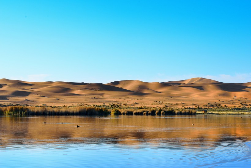 点击大图看下一张：内蒙古腾格里沙漠风景图片
