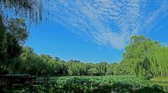 北京紫竹院公园风景图片_12张