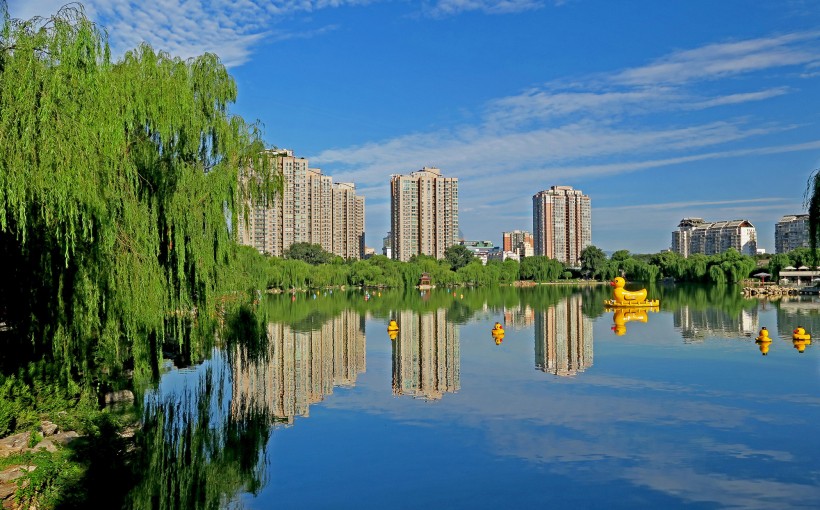 点击大图看下一张：北京紫竹院公园风景图片