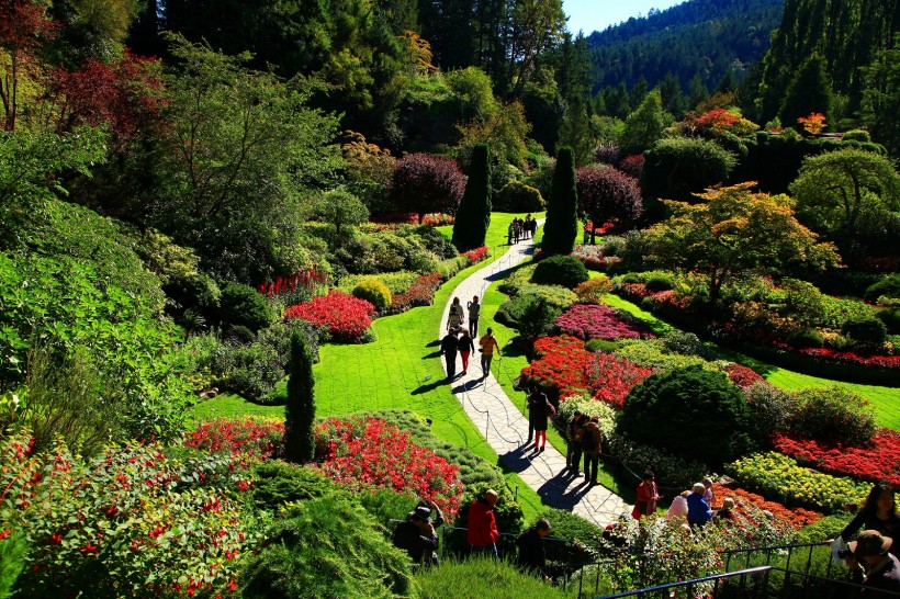 点击大图看下一张：加拿大布查特花园风景图片
