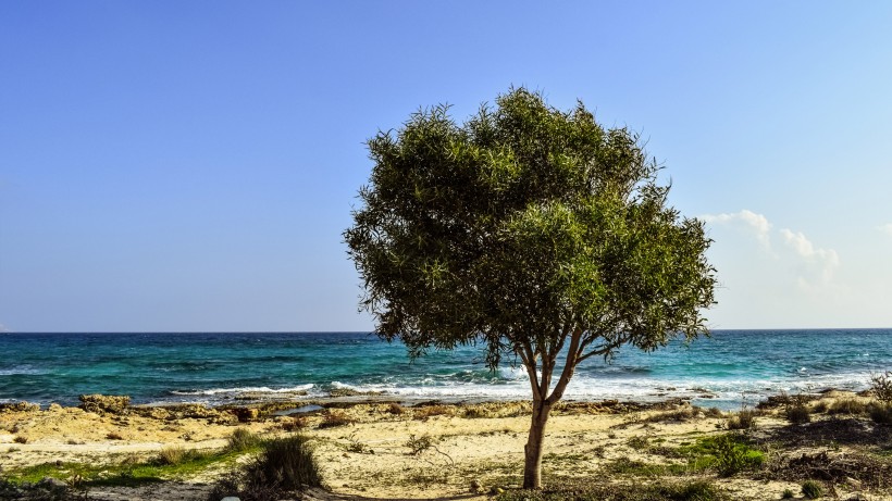 点击大图看下一张：塞浦路斯风景图片