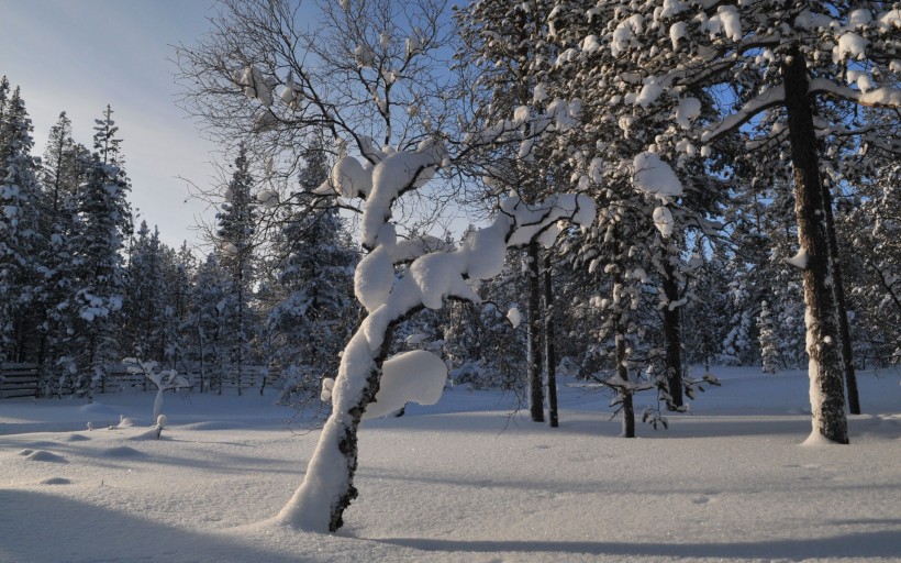 点击大图看下一张：芬兰雪景图片