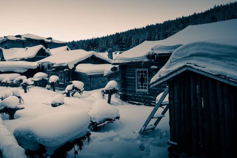 点击大图看下一张：哈尔滨雪乡风景图片