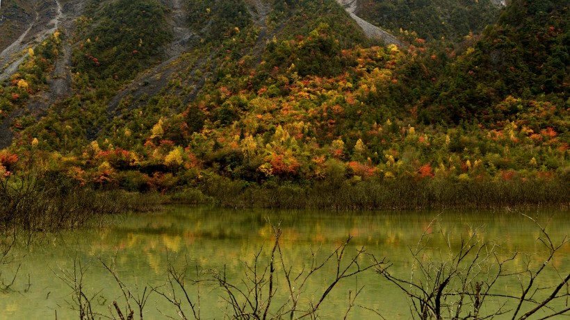 点击大图看下一张：甘肃文县天池国家森林公园风景图片