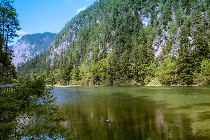 点击大图看下一张：四川九寨天鹅海风景图片