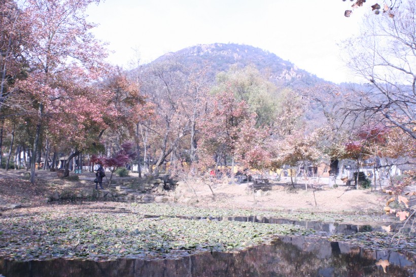 点击大图看下一张：苏州天平山风景图片