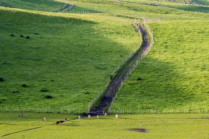 点击大图看下一张：新疆美丽的天山牧场风景图片