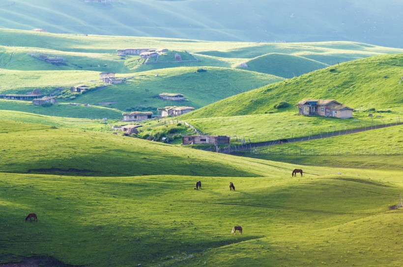 点击大图看下一张：新疆美丽的天山牧场风景图片