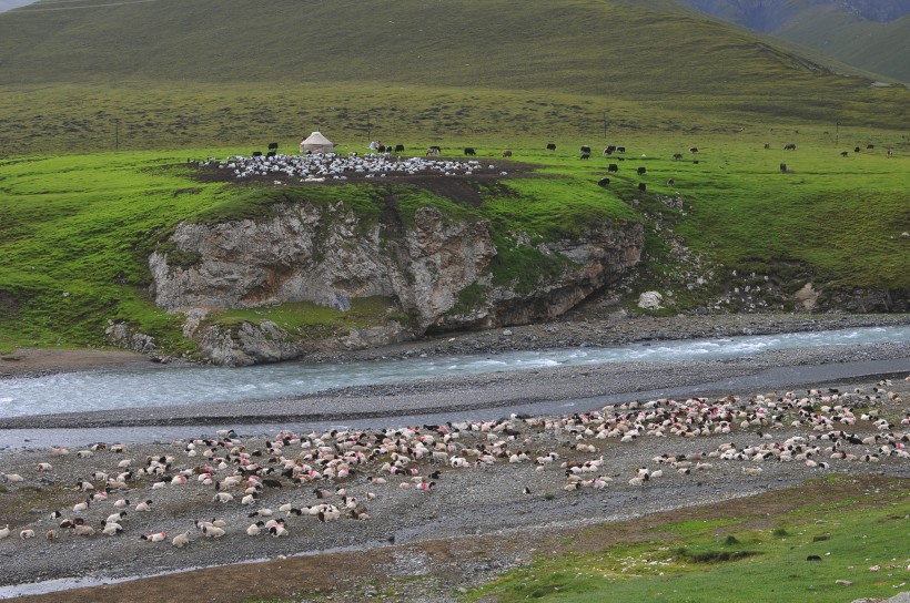 点击大图看下一张：新疆天山牧场风景图片