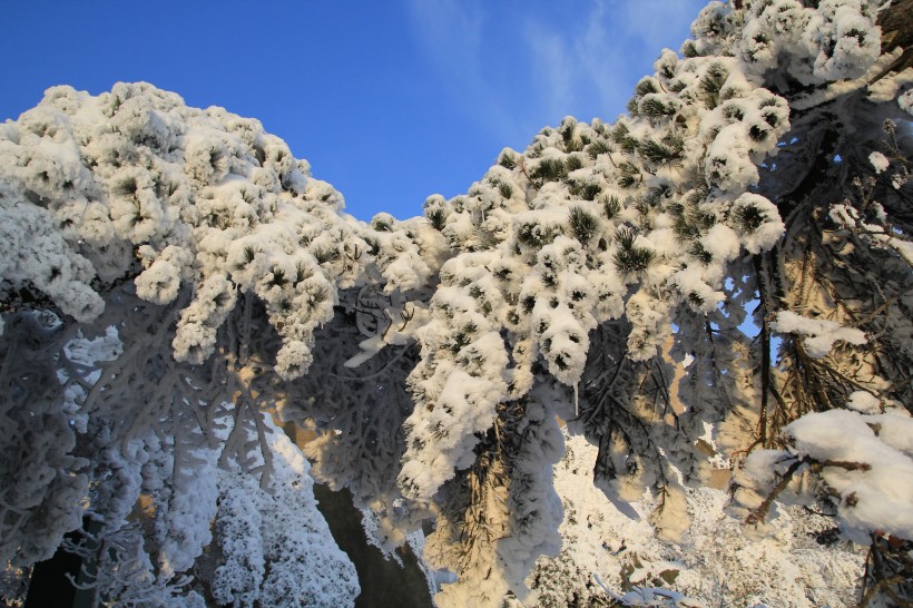 点击大图看下一张：安徽安庆天竺山雪景图片