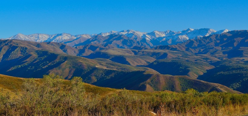 点击大图看下一张：新疆吐尔加辽草原风景图片