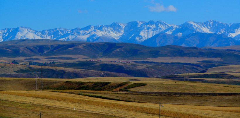 点击大图看下一张：新疆吐尔加辽草原风景图片