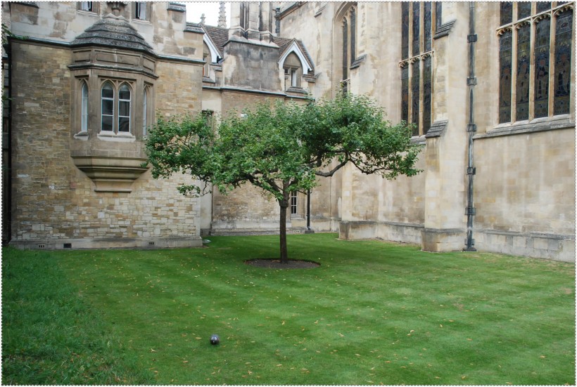 点击大图看下一张：英国剑桥大学图片