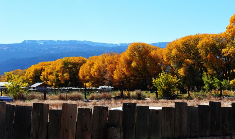 点击大图看下一张：美国犹他州秋景图片