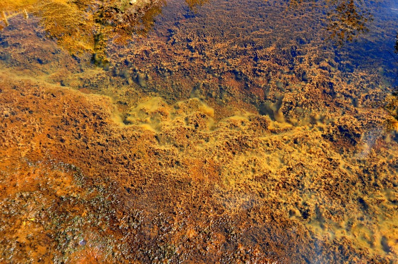 点击大图看下一张：黑龙江五大连池之温泊图片