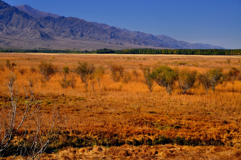点击大图看下一张：新疆温泉县秋天风景图片