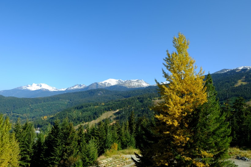 点击大图看下一张：加拿大惠斯勒山风景图片