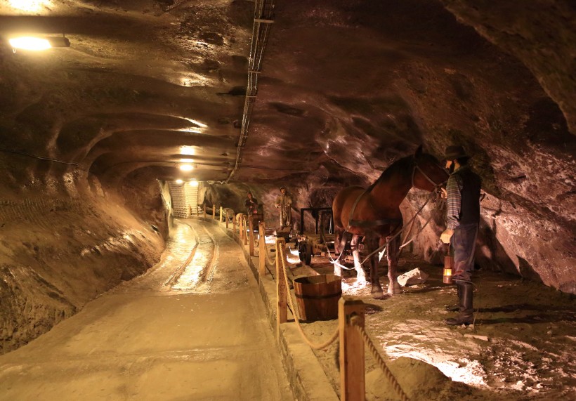 点击大图看下一张:波兰维利奇卡盐矿风景图片