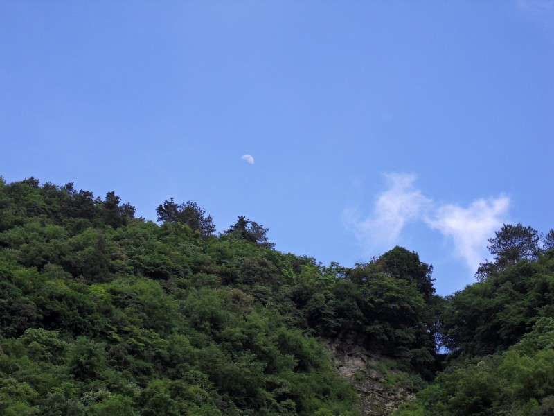 点击大图看下一张：湖北十堰武当山风景图片