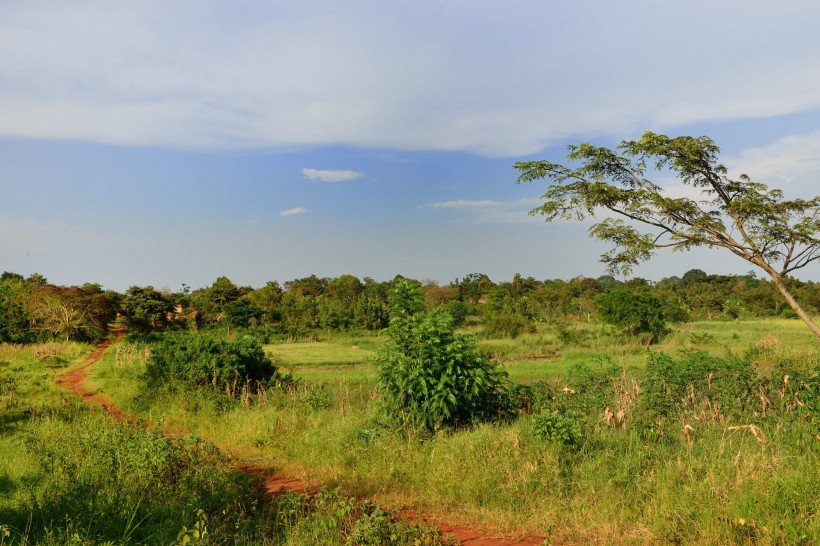 点击大图看下一张：非洲乌干达风景图片