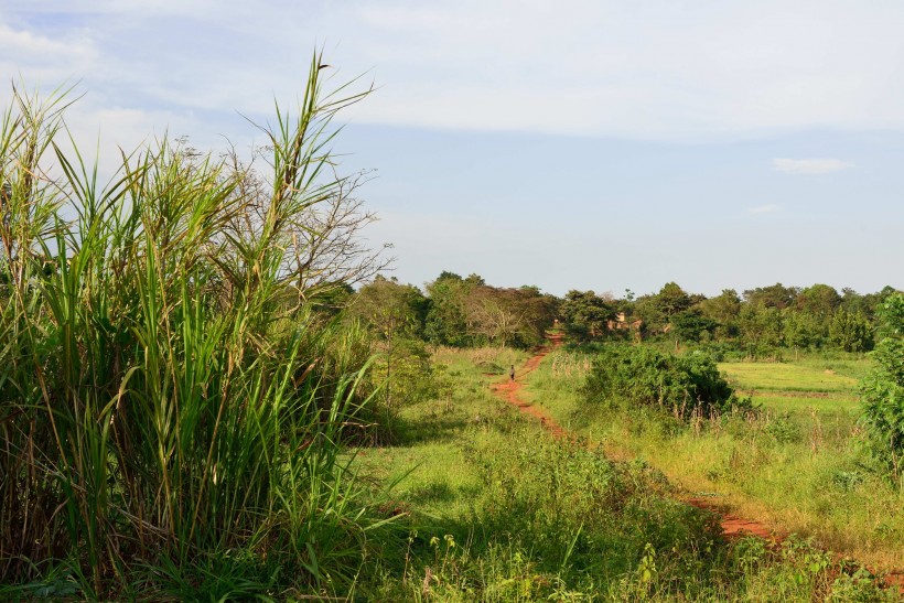 点击大图看下一张：非洲乌干达风景图片