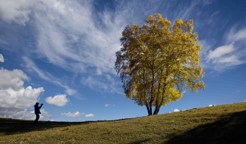 点击大图看下一张：内蒙古乌兰布统风景图片
