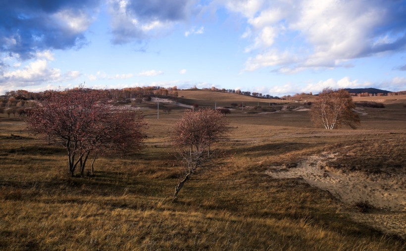 点击大图看下一张：深秋苍凉的乌兰布统草原风景图片