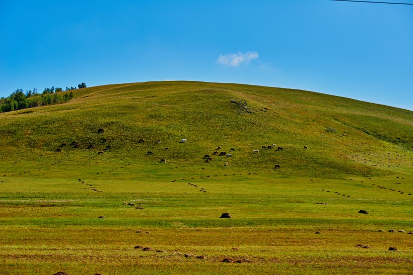 点击大图看下一张：内蒙古乌兰布统草原风景图片