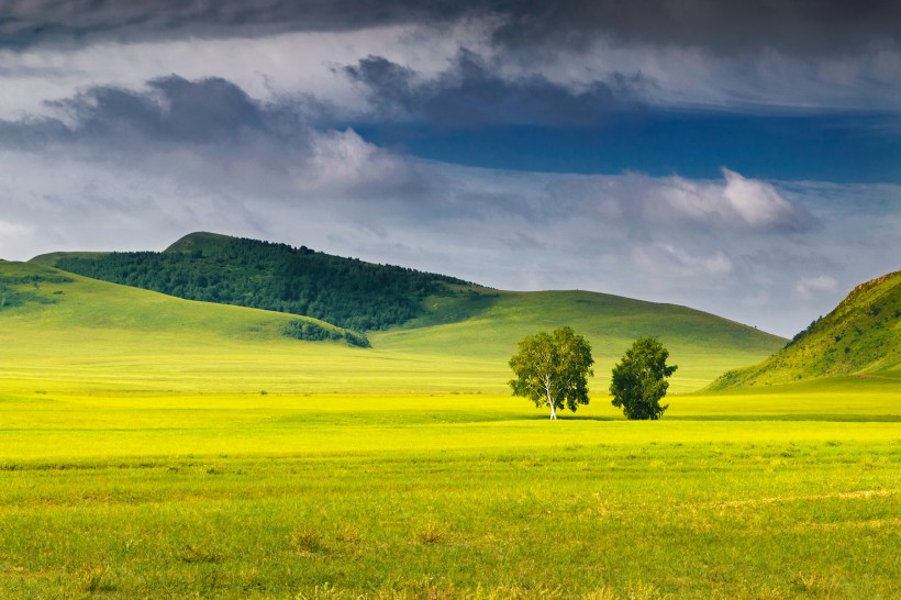 点击大图看下一张：乌兰布统的夏季风景图片