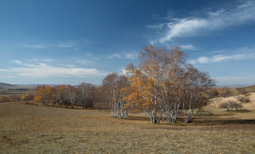 点击大图看下一张：内蒙古乌兰布统秋色图片