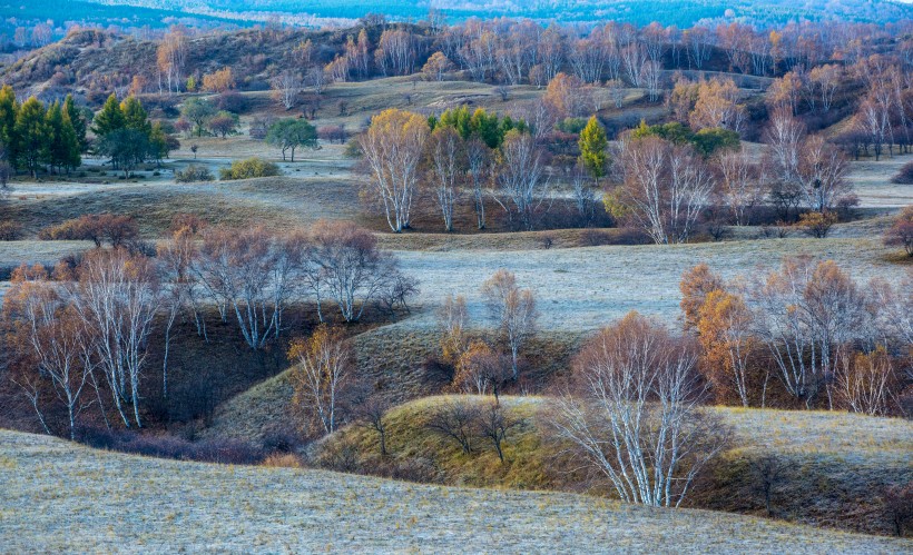 点击大图看下一张：内蒙古乌兰布统秋色图片
