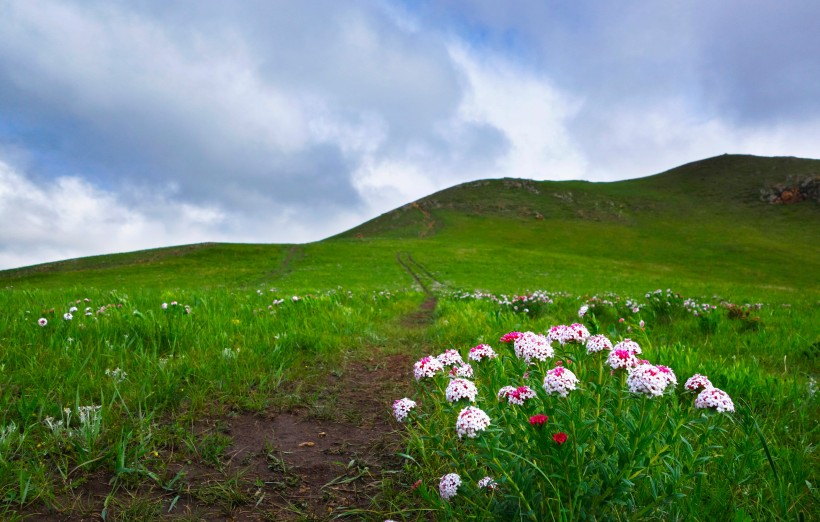 点击大图看下一张：内蒙古乌兰木统草原风景图片