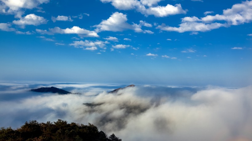 点击大图看下一张：雾锁阳明山风景图片