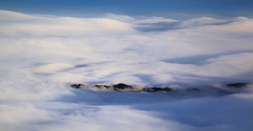 点击大图看下一张：雾锁阳明山风景图片