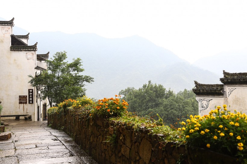 点击大图看下一张：婺源-中国最美丽的农村图片