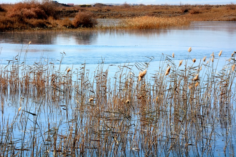 点击大图看下一张：青海格尔木五子湖风景图片