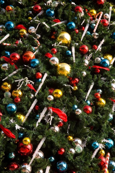 点击大图看下一张：香港迪斯尼乐园图片