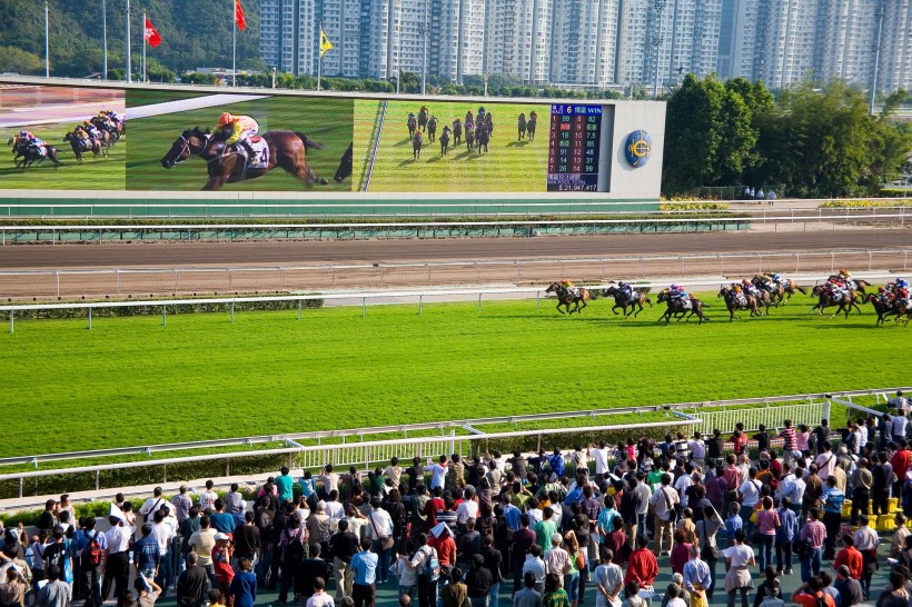 点击大图看下一张：香港沙田赛马场图片