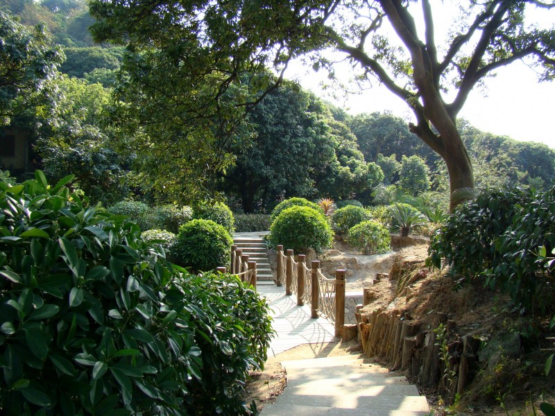 点击大图看下一张：广东广州罗岗香雪公园风景图片