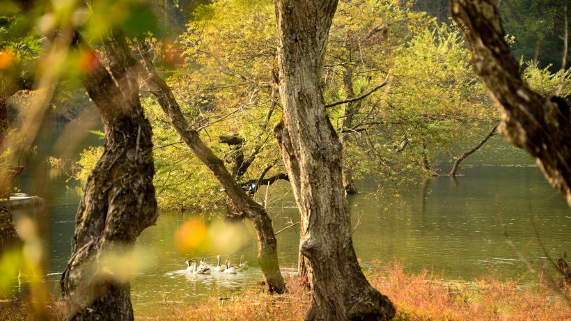 点击大图看下一张：广西桂林逍遥湖风景图片
