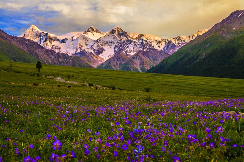 点击大图看下一张：新疆夏塔风景图片