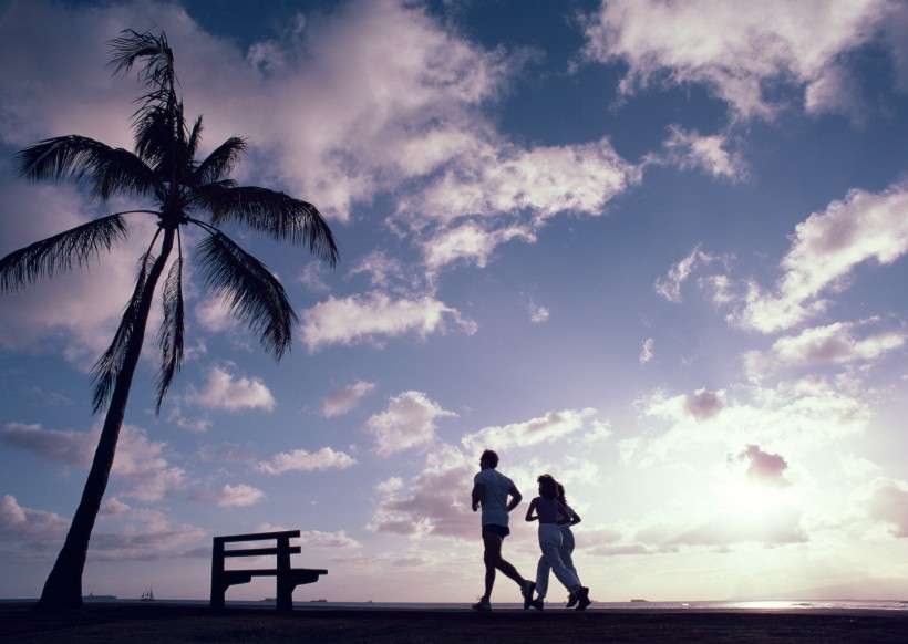 点击大图看下一张：夏威夷的黄昏美景图片