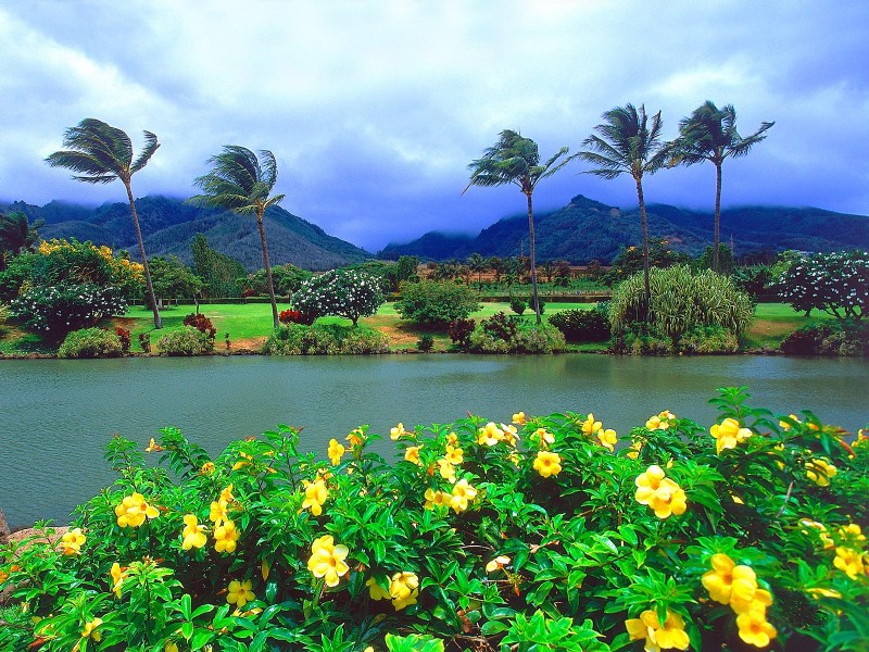 点击大图看下一张：夏威夷海滨图片