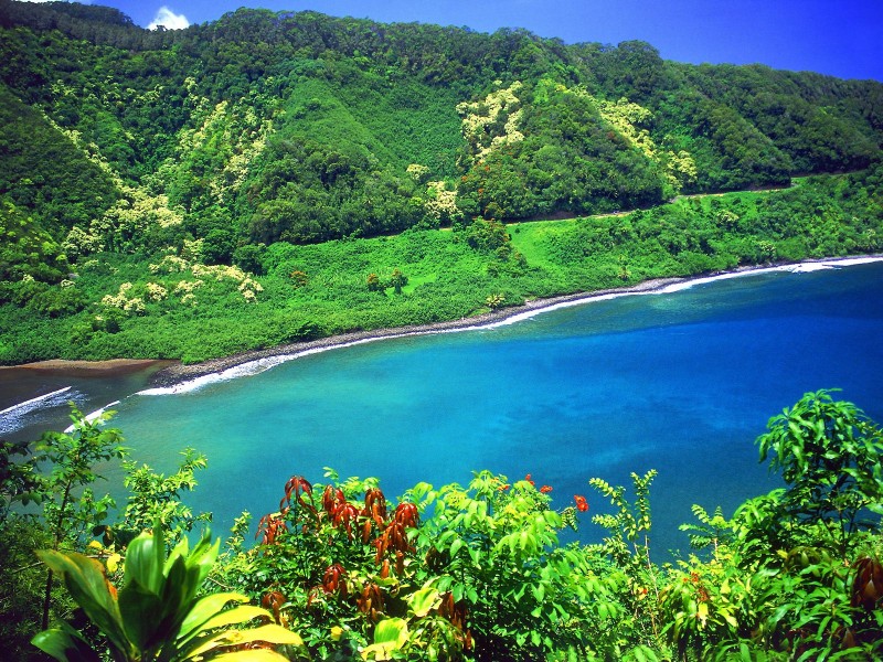 点击大图看下一张：夏威夷海滨图片