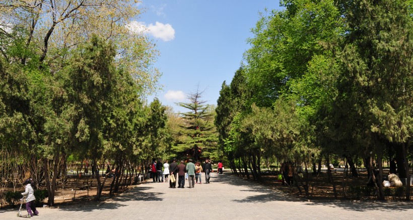 点击大图看下一张：天津西沽公园风景图片