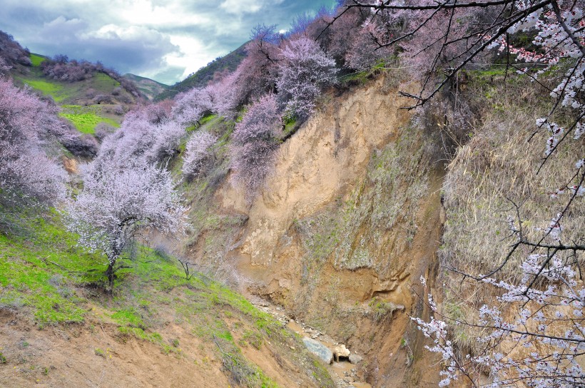 点击大图看下一张：新疆杏花沟风景图片